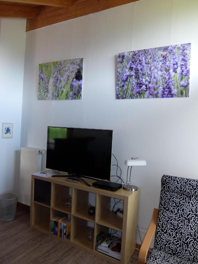Blaues Haus - Une Maison Bleue Hetzerath Esterno foto
