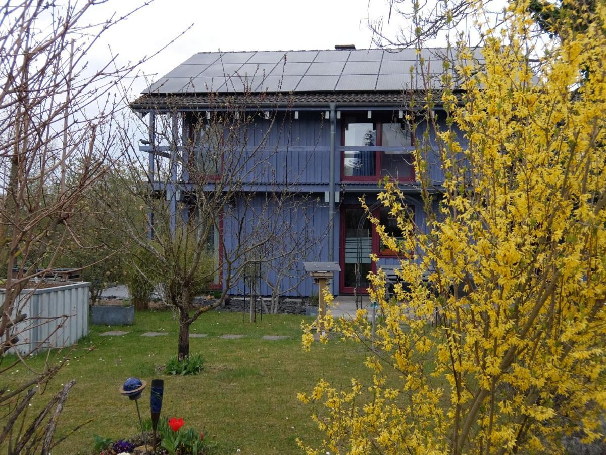 Blaues Haus - Une Maison Bleue Hetzerath Esterno foto