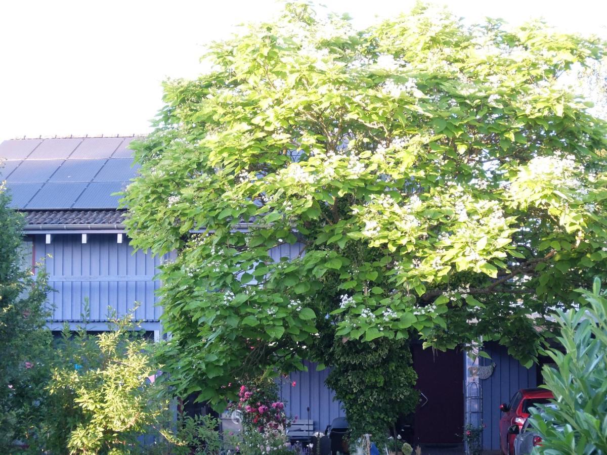 Appartamento Blaues Haus - Une Maison Bleue Hetzerath Esterno foto